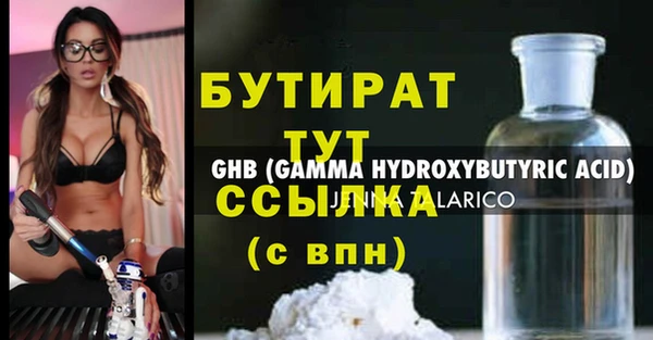 шишки Абаза
