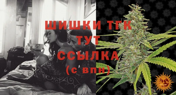 шишки Абаза