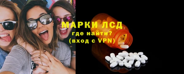 шишки Абаза