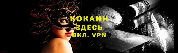 шишки Абаза