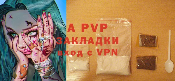шишки Абаза