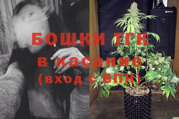 шишки Абаза