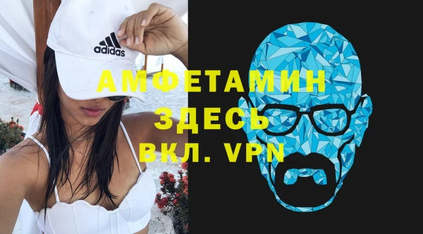 шишки Абаза