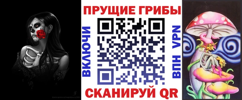darknet состав Ряжск Галлюциногенные грибы ЛСД